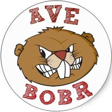 bobr_dobr