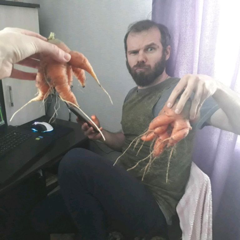 N L O Ь Р