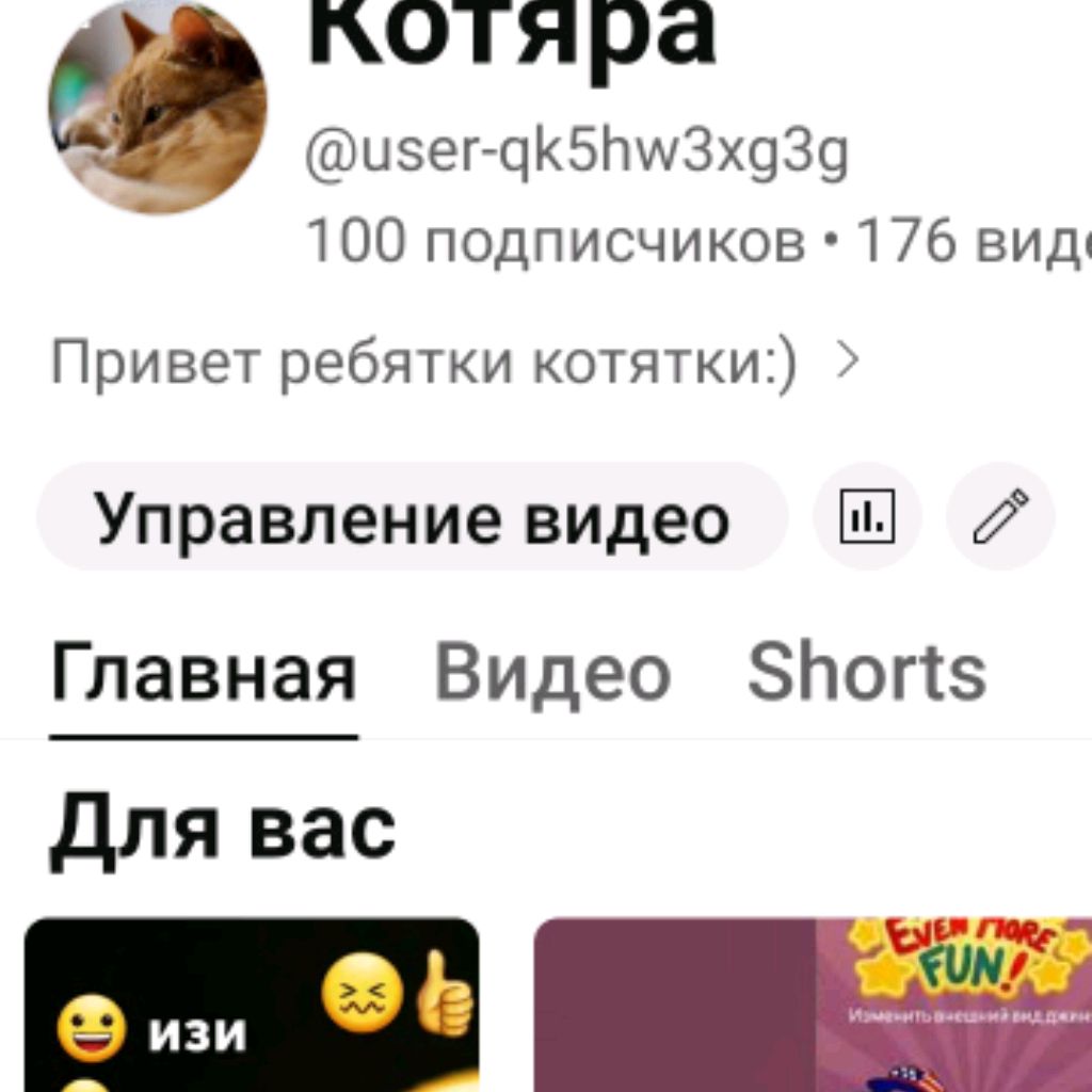 Котяра 2.0