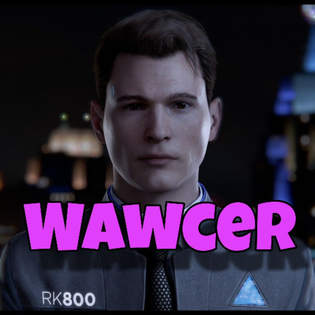 Wawcer_stream_twitch