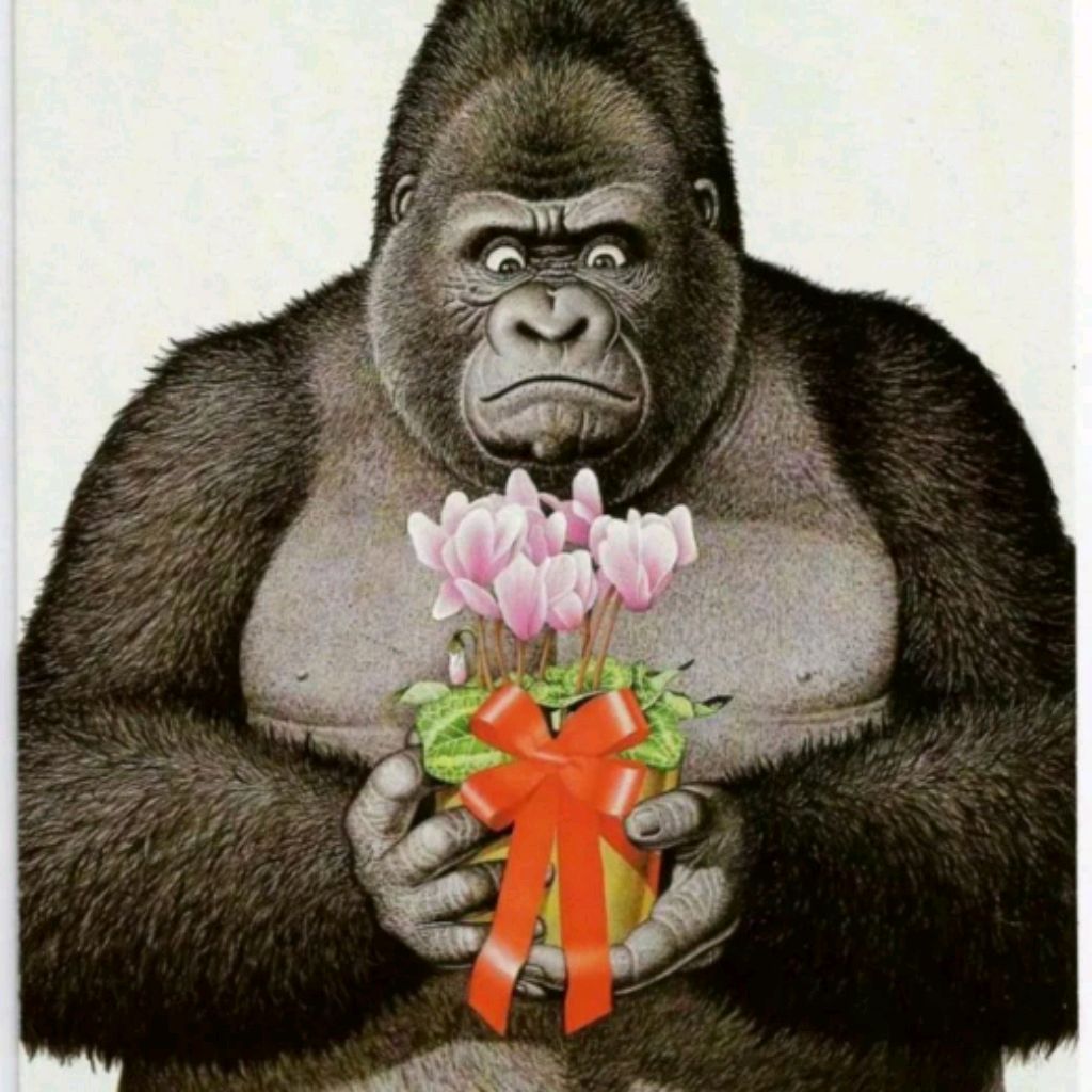 Анатолий З.