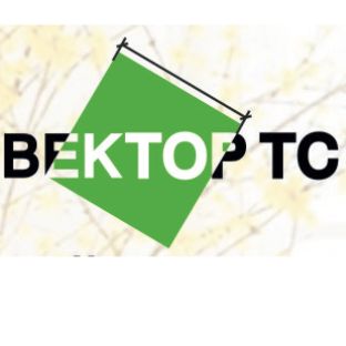 vektortc2012