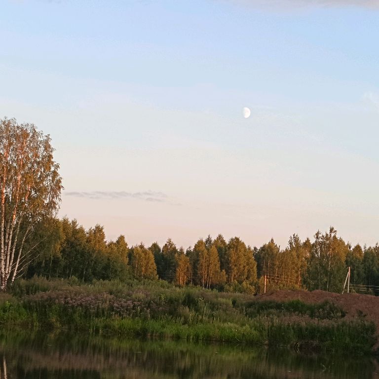 Медведь