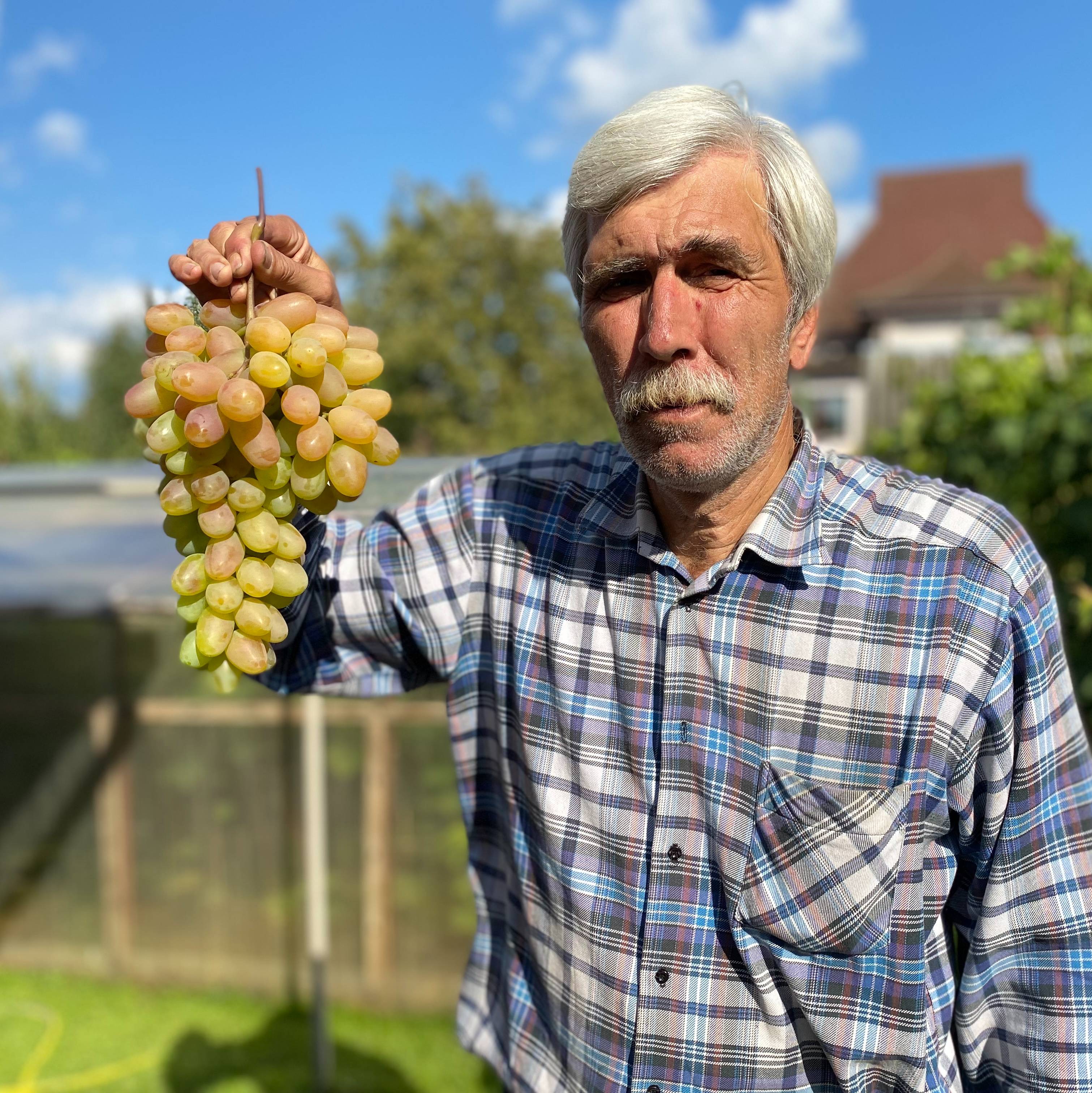 Вадим Точилин