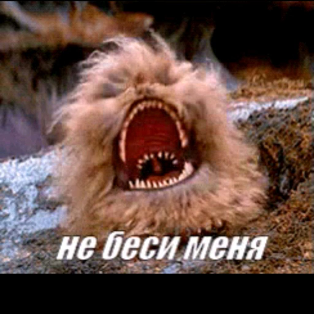 OtecVladimir1