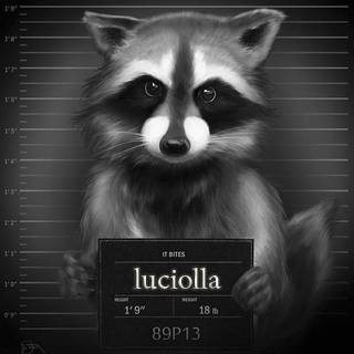1uciolla