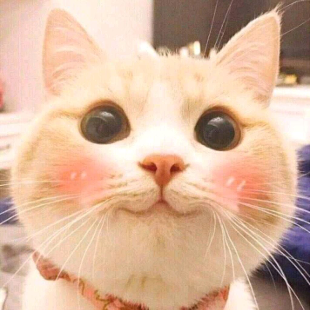 (✿kiki_lolo✿)