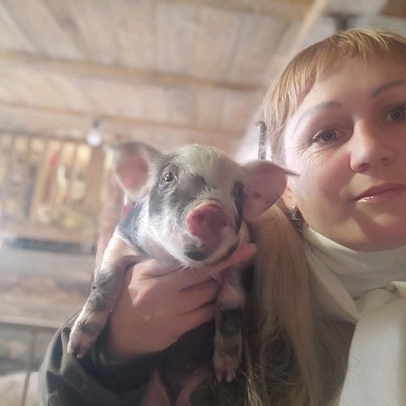 Деревенский блог САД ОГОРОД И МОЁ ХОЗЯЙСТВО