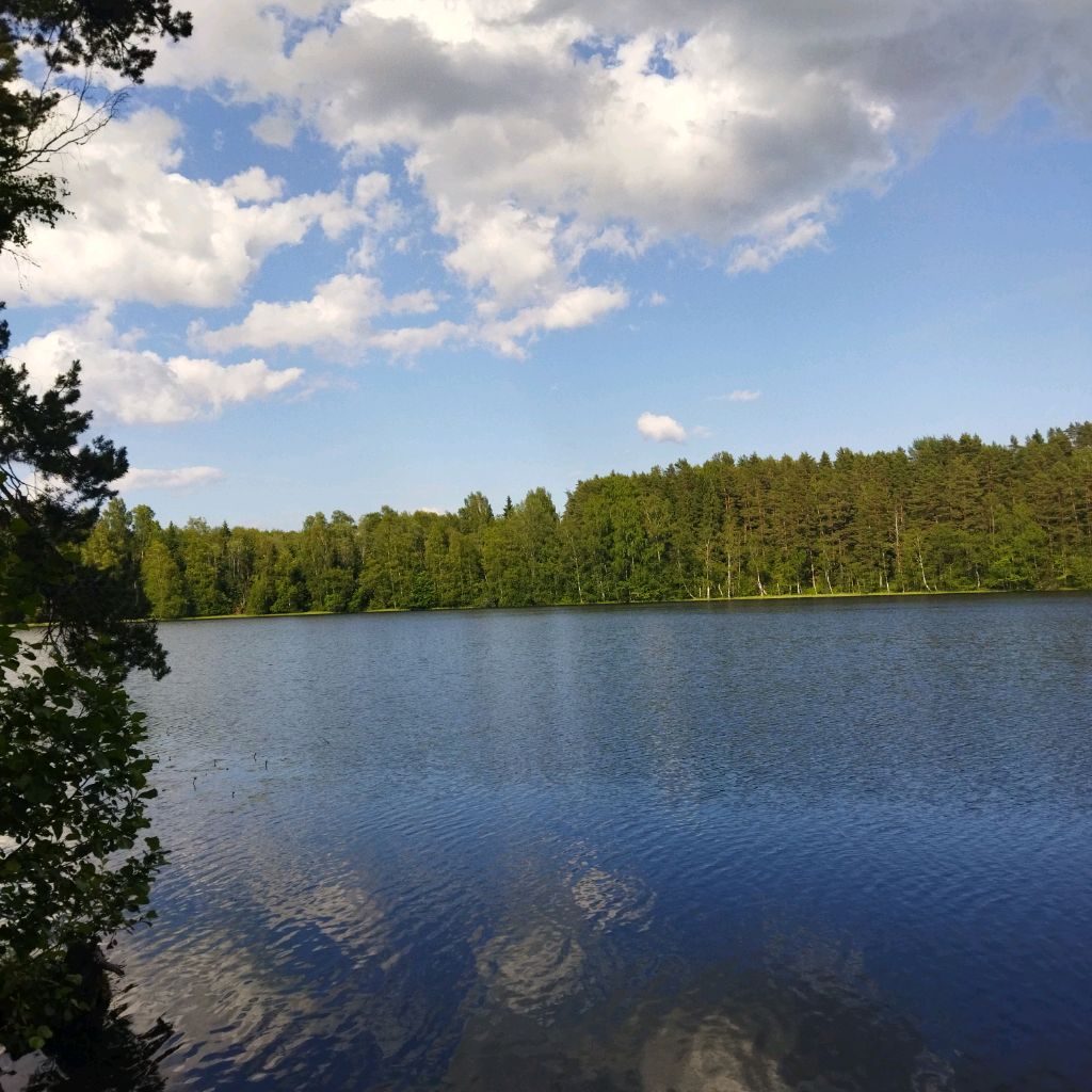 Пространство жизни