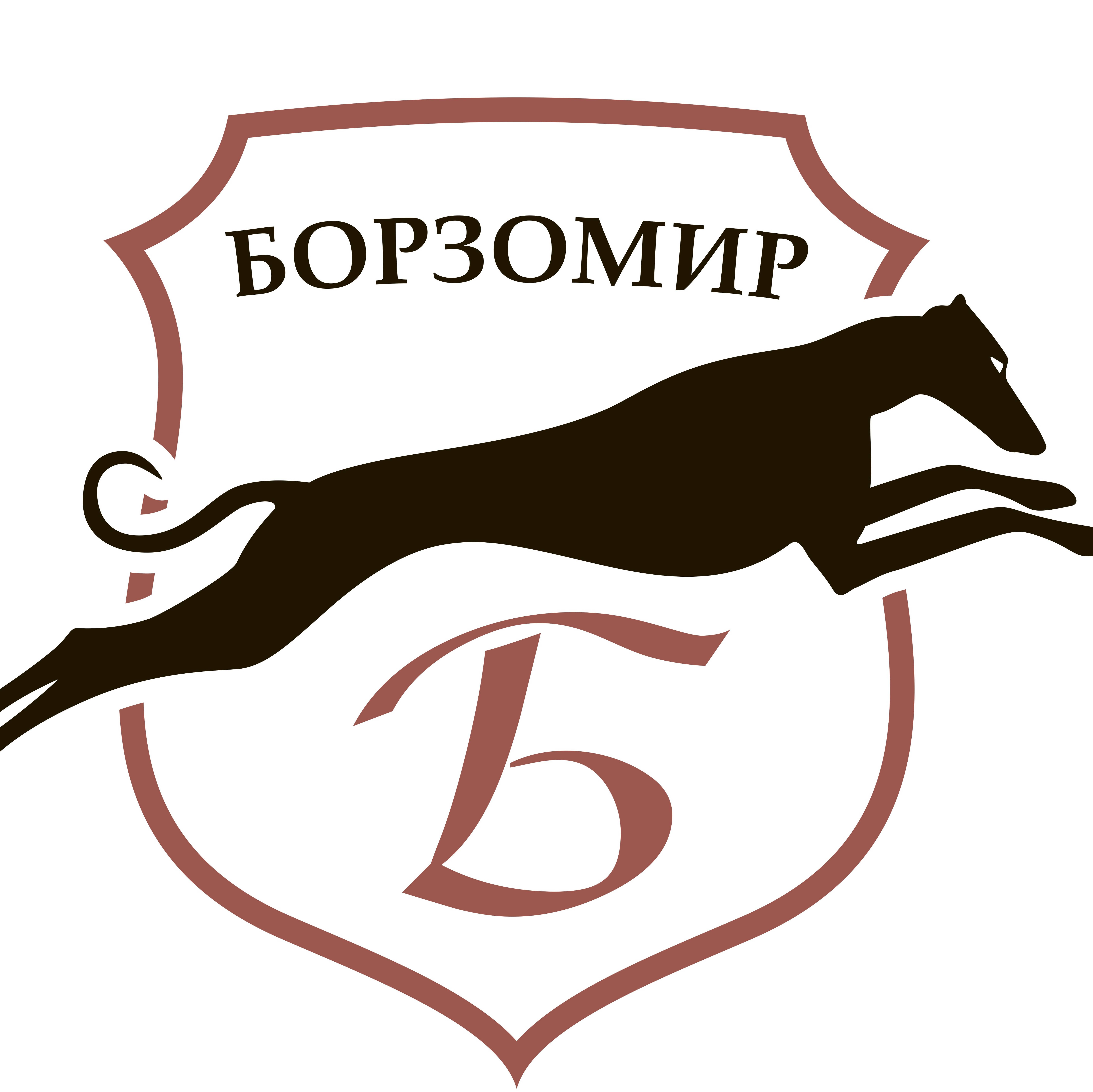 Борзомир