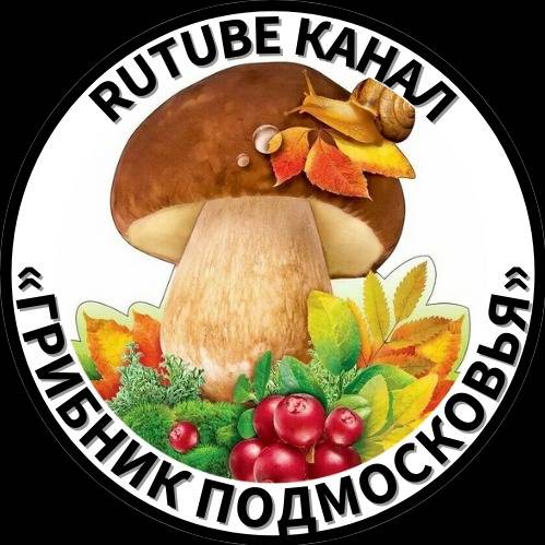 ГРИБНИК ПОДМОСКОВЬЯ