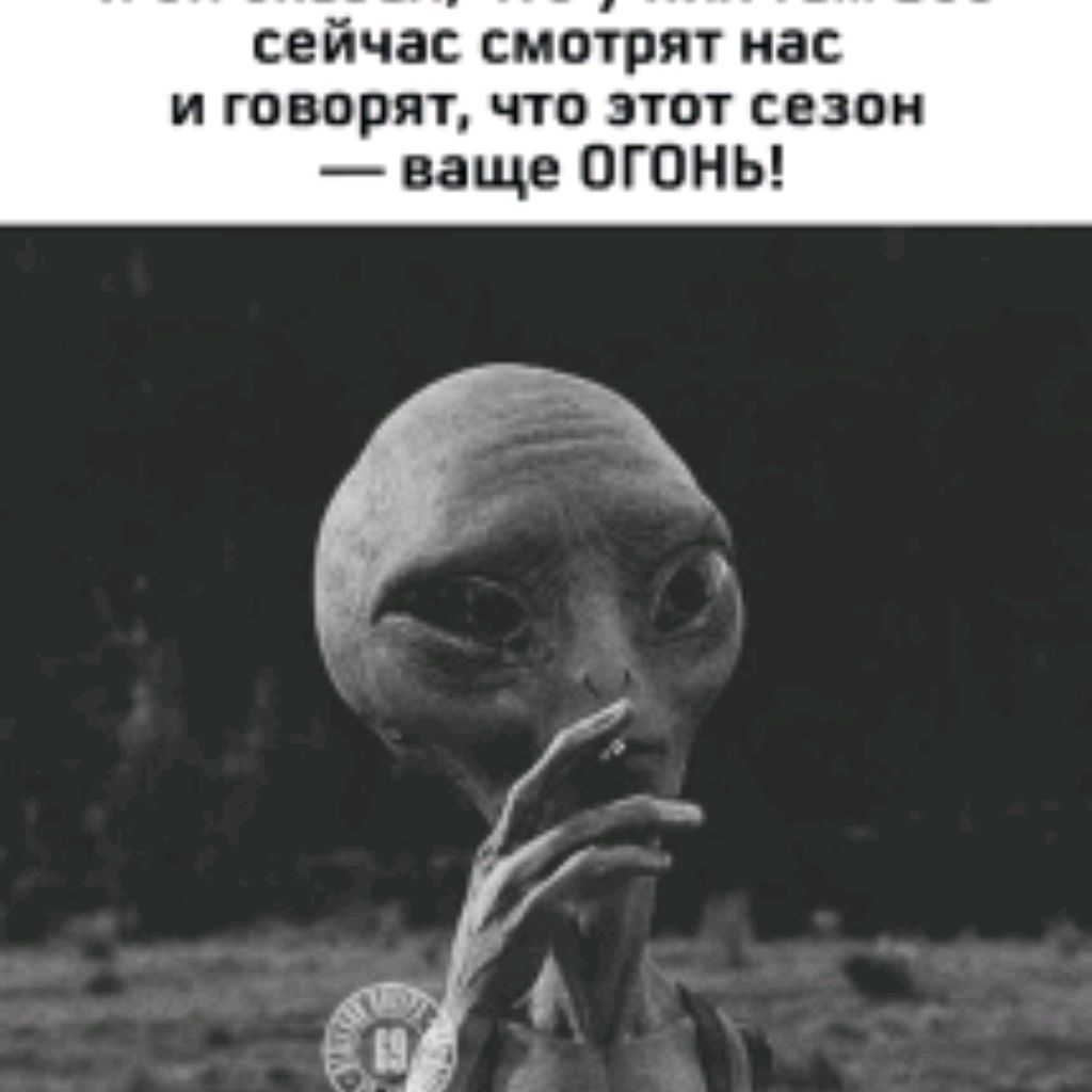 channel24561833