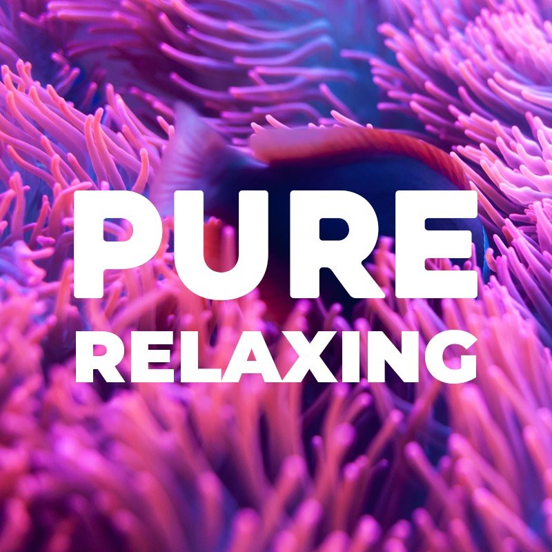 Pure Relaxing