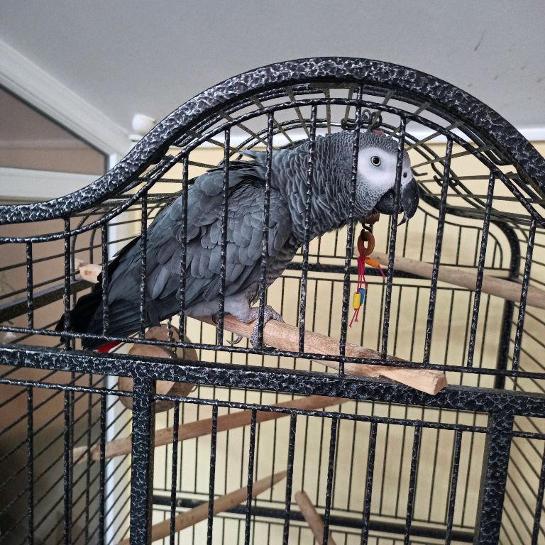 Андрей