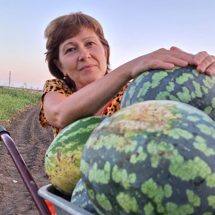 ЖИЗНЬ НА ЮГЕ
