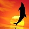 rutube_account_23636535