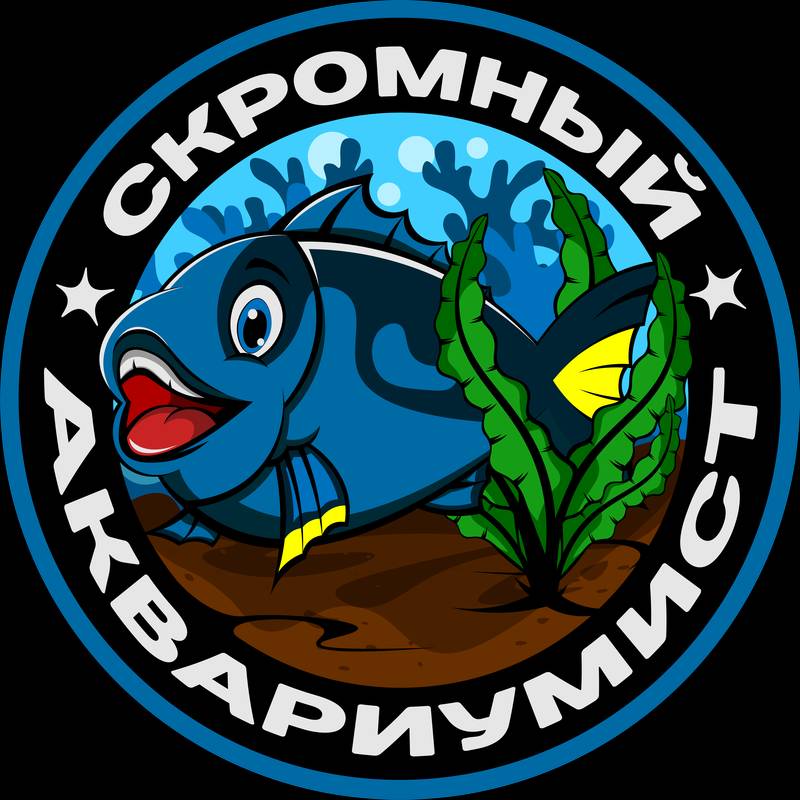 Скромный аквариумист