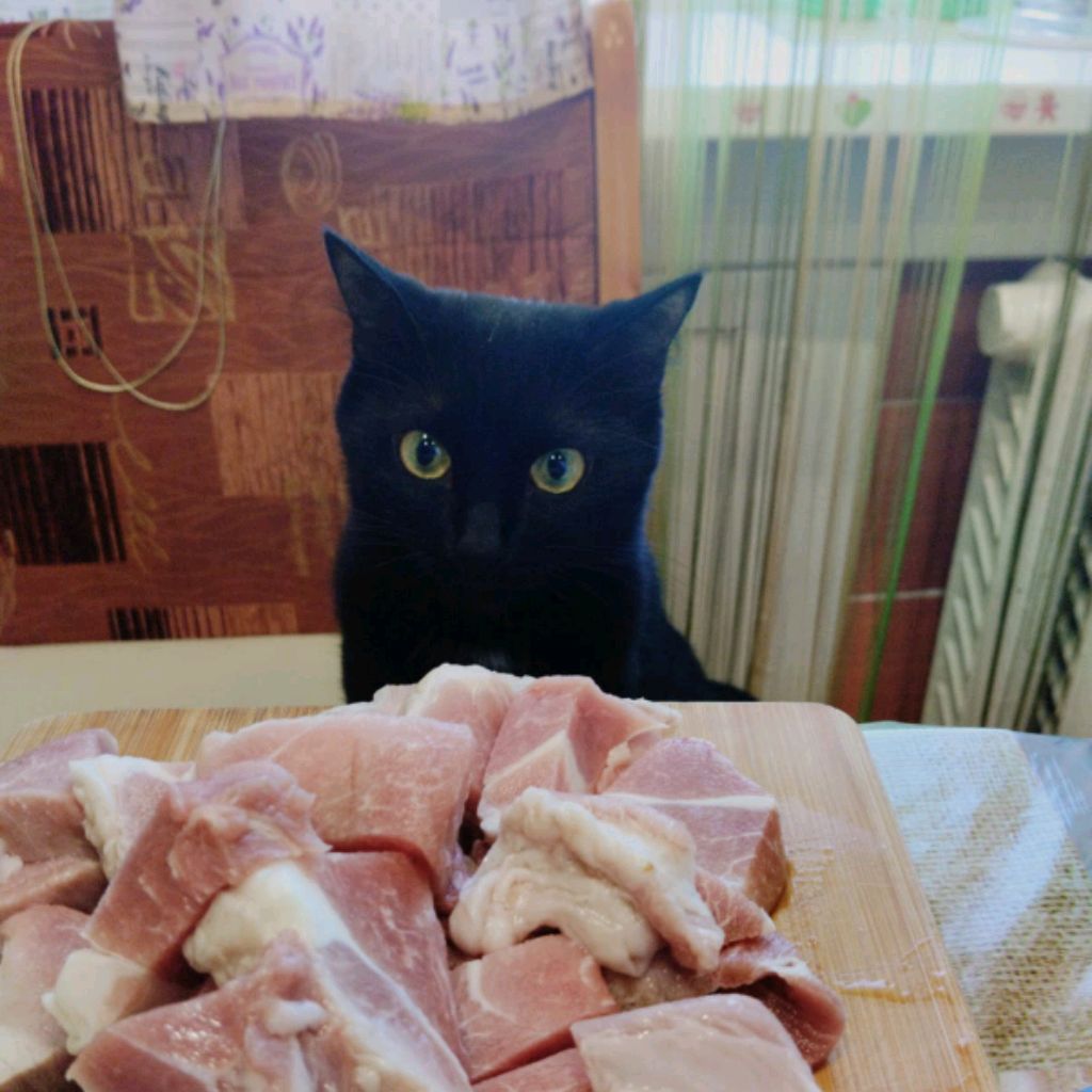 Абобуз