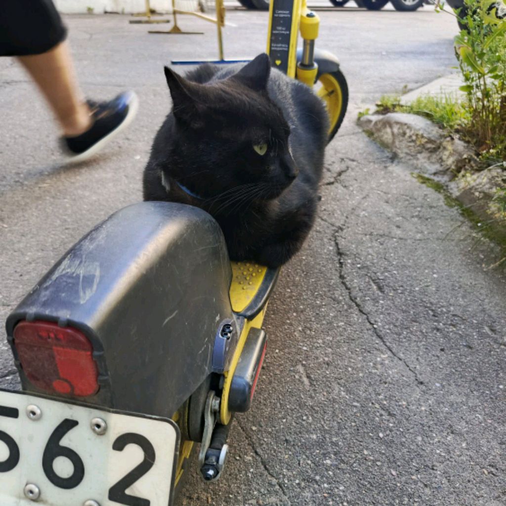 Ольга Т.