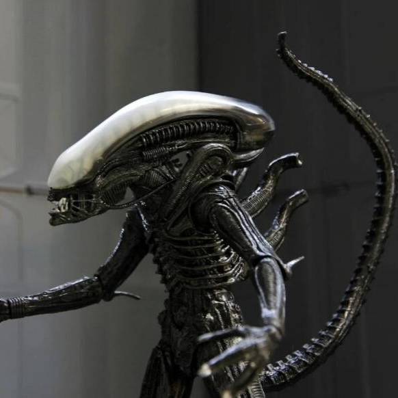 Ksenomorf808