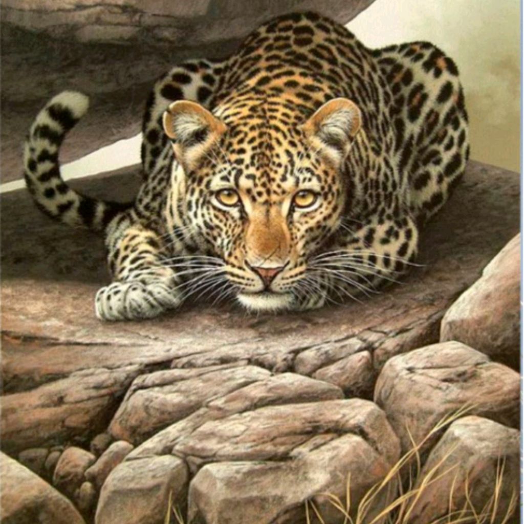 TANKA