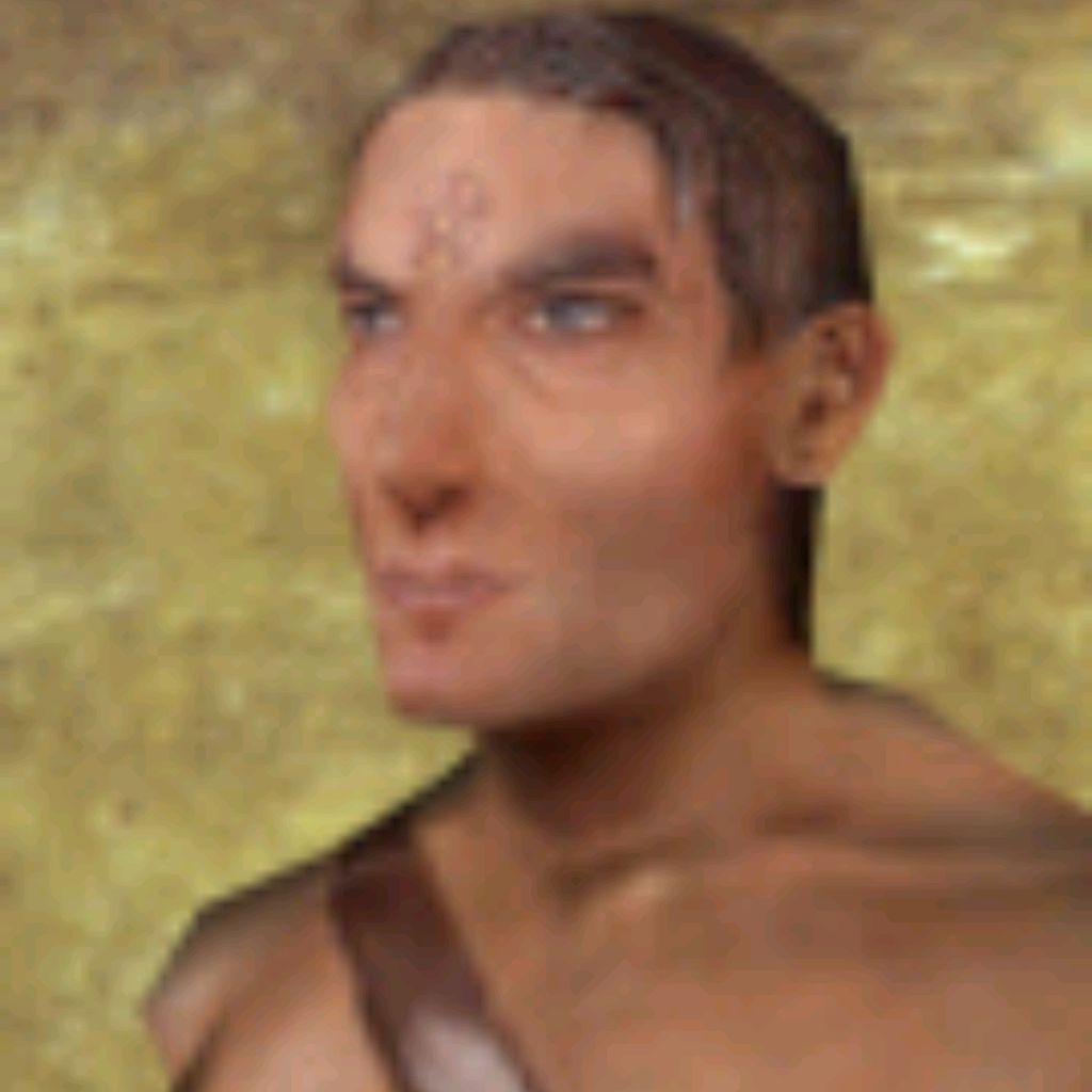 Am Shaegar