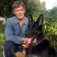 Алексей Гудков
