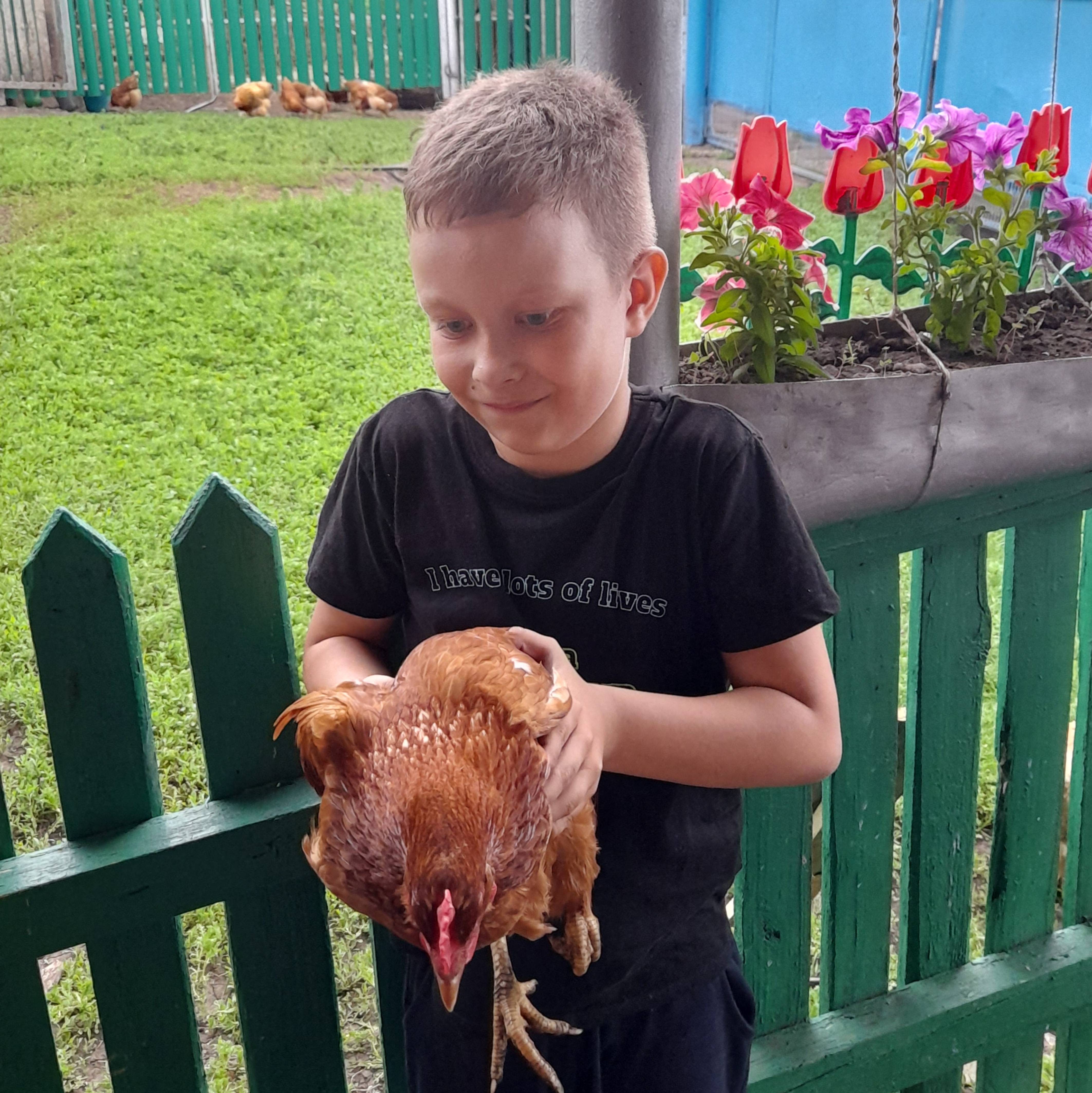 Дамир играет