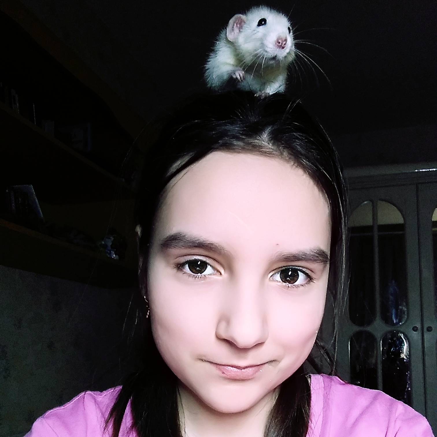 Katirinzet