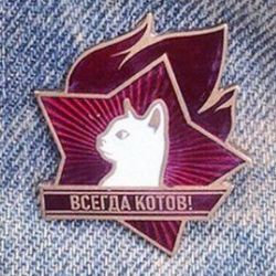 тот самый котик