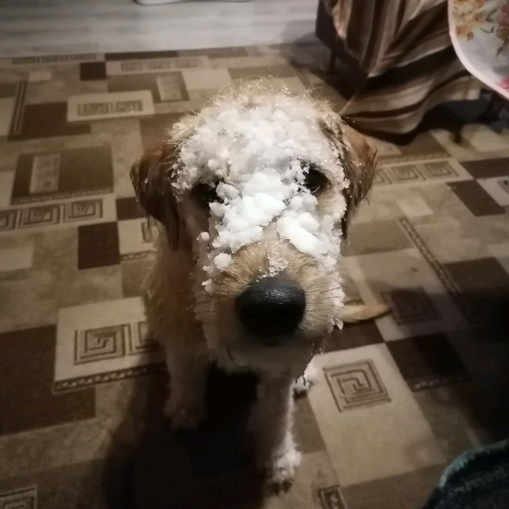 Михаил