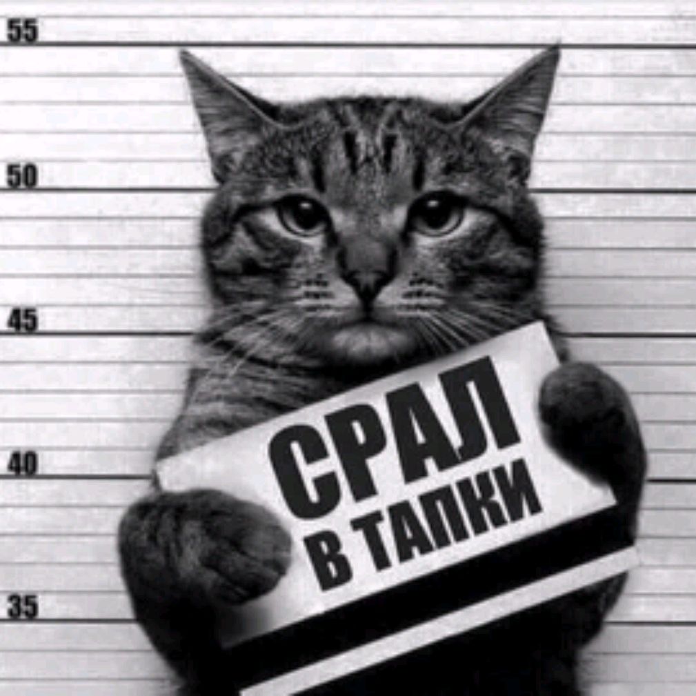 Ребус