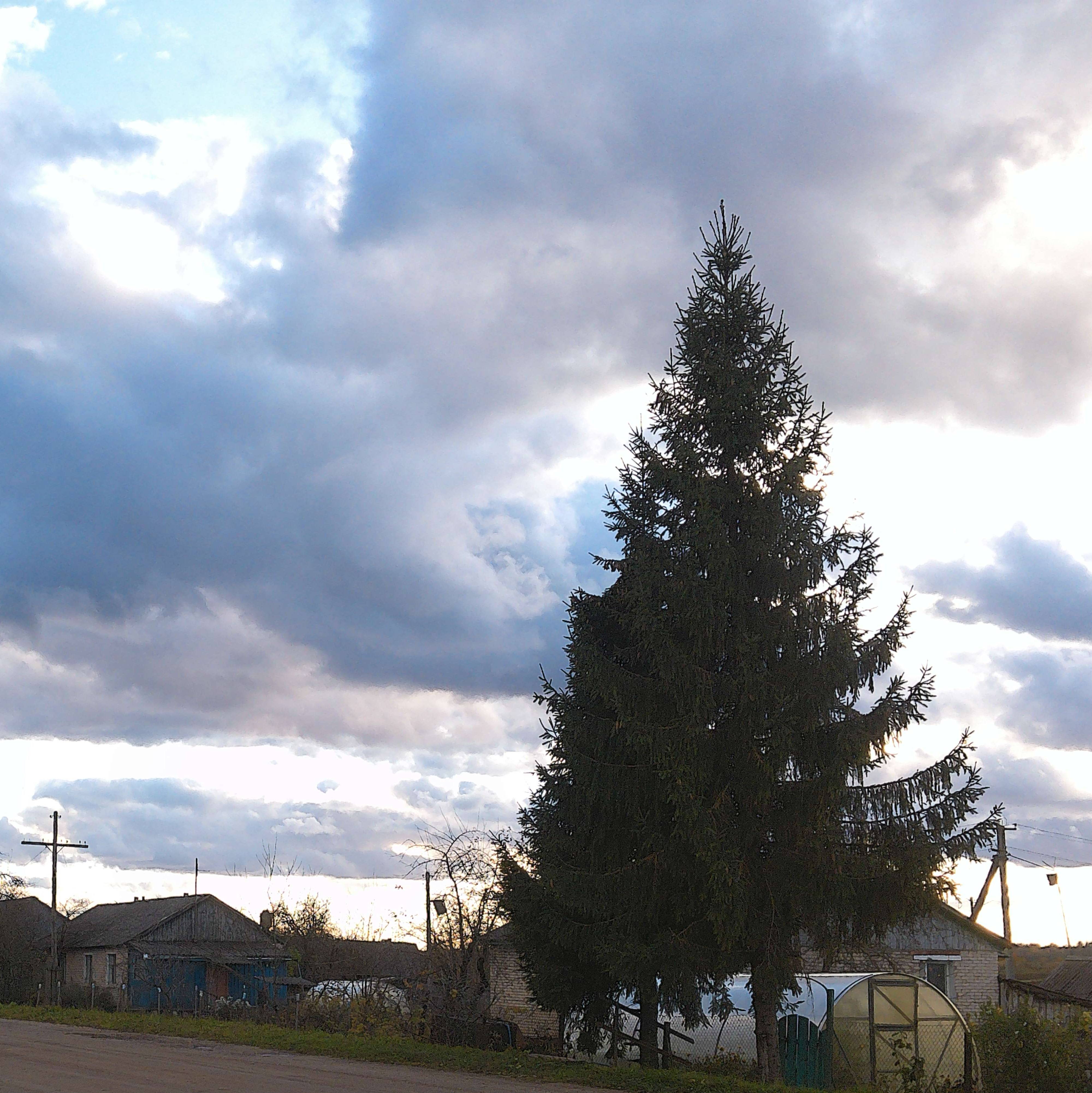 новгородская глубинка