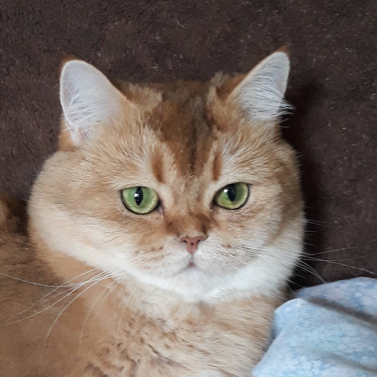 Lisa20011