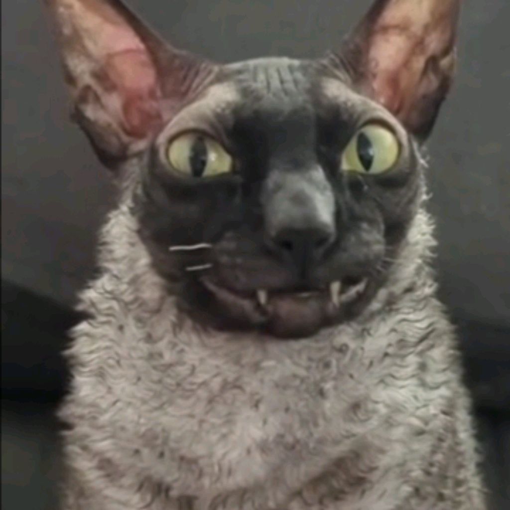 косметик