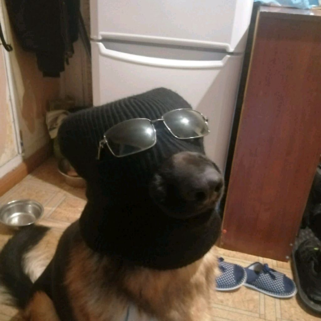 Денис Голозадов