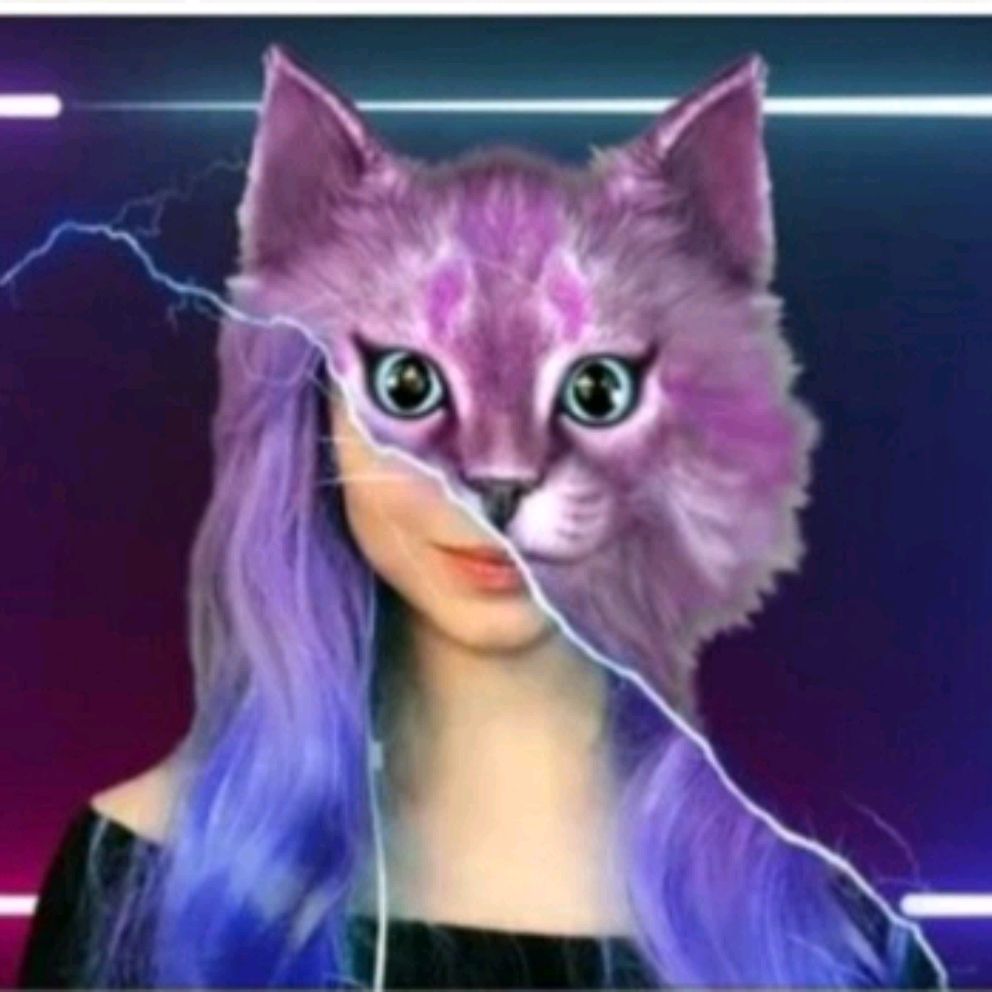 КОШКА ЛАНА