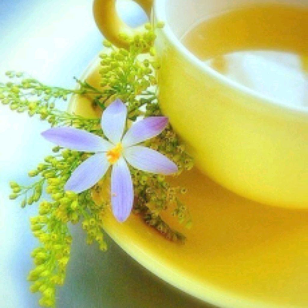 Ольга🌸